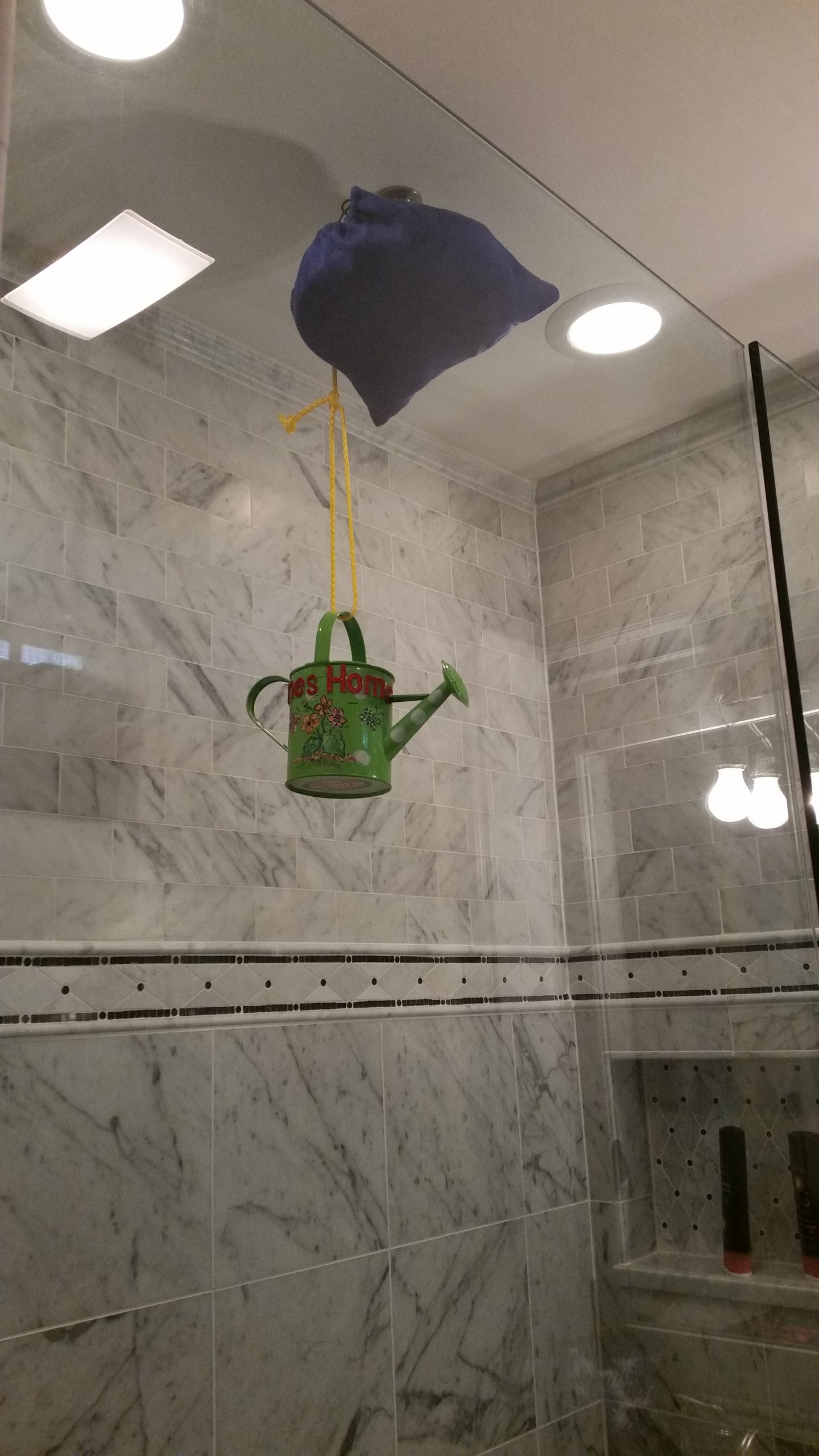 DIY Rain Shower