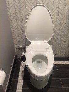 bidet toilet seat