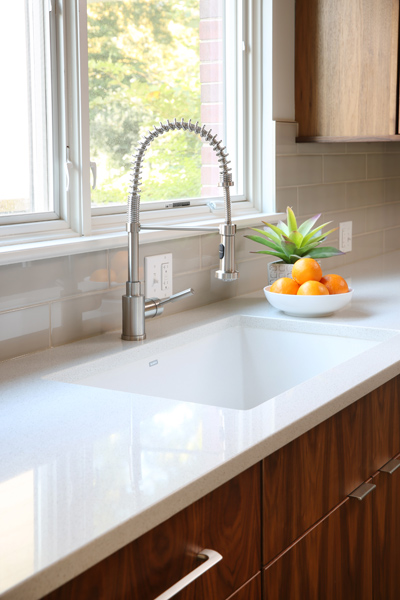 single bowl kitchen sink with professional style faucet