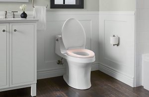 Kohler heated toilet seat