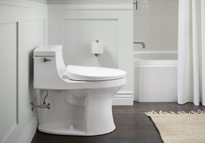 Kohler heated toilet seat